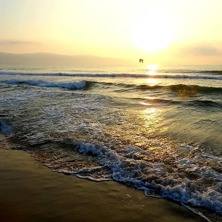 Διαμέρισμα Apartment Elit IV Sunny Beach *
